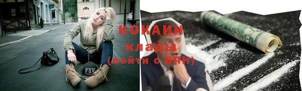 ПСИЛОЦИБИНОВЫЕ ГРИБЫ Алзамай
