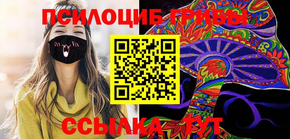 Котельники  Галлюциногенные грибы Psilocybe  Вход с VPN 